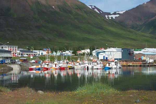 Dalvík Arctic Coast Way North Iceland