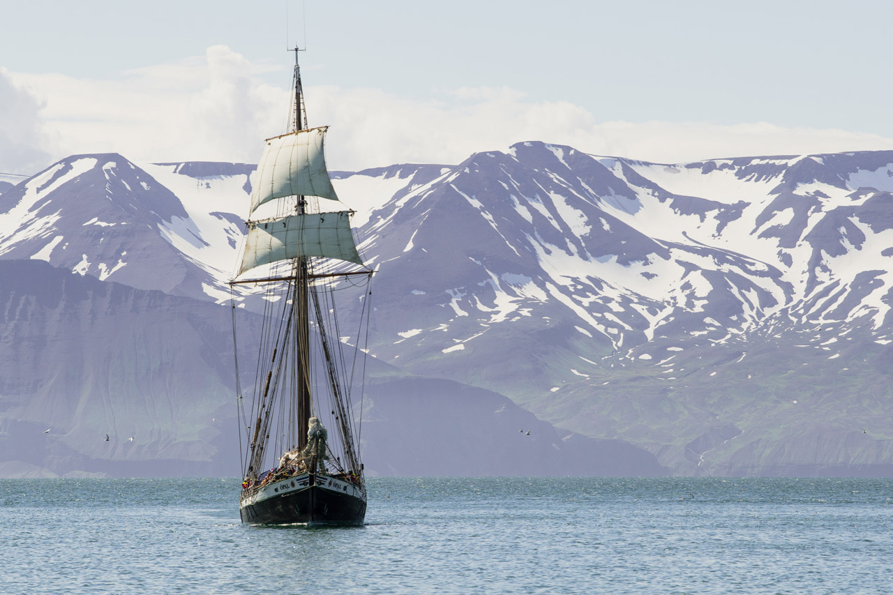 Sailing the Edge of the Arctic
