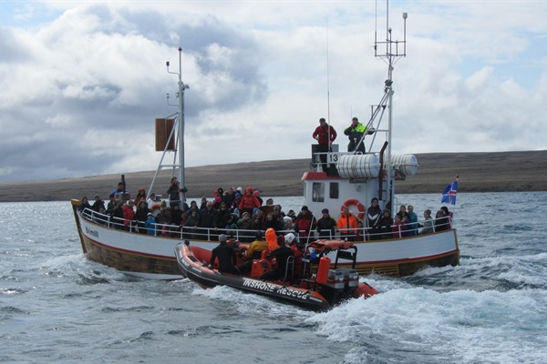 Sealwatching - 1